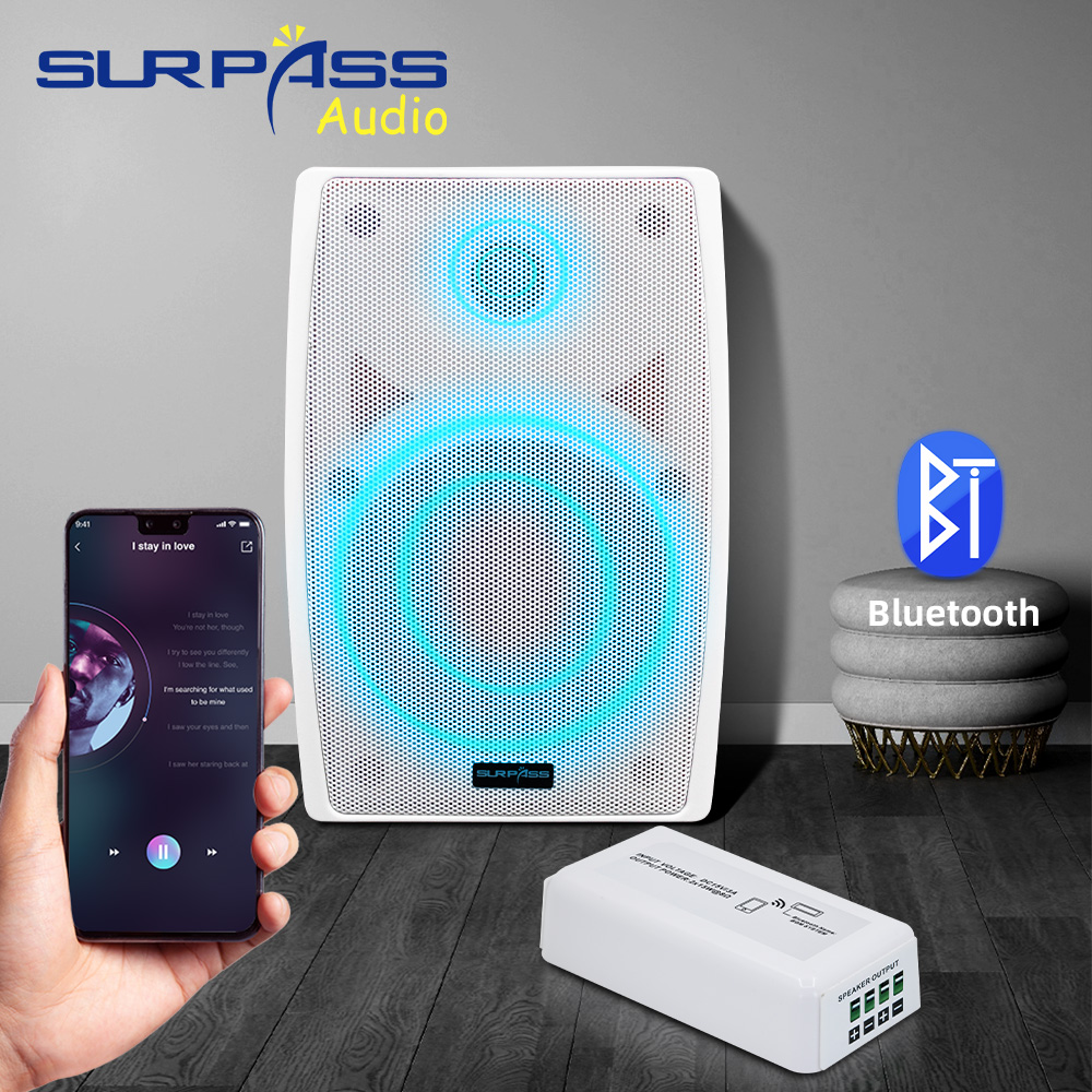Mini amplificador de áudio blu - Audio Music Store avaliação e preço