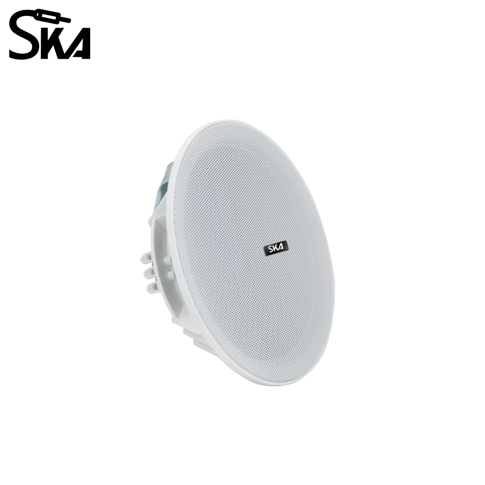 Alto-falante de áudio passivo  - Audio Music Store avaliação e preço