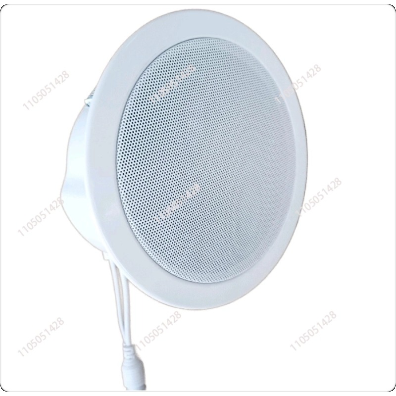 Alto-falante de rede IP, áudio - Audio Music Store avaliação e preço