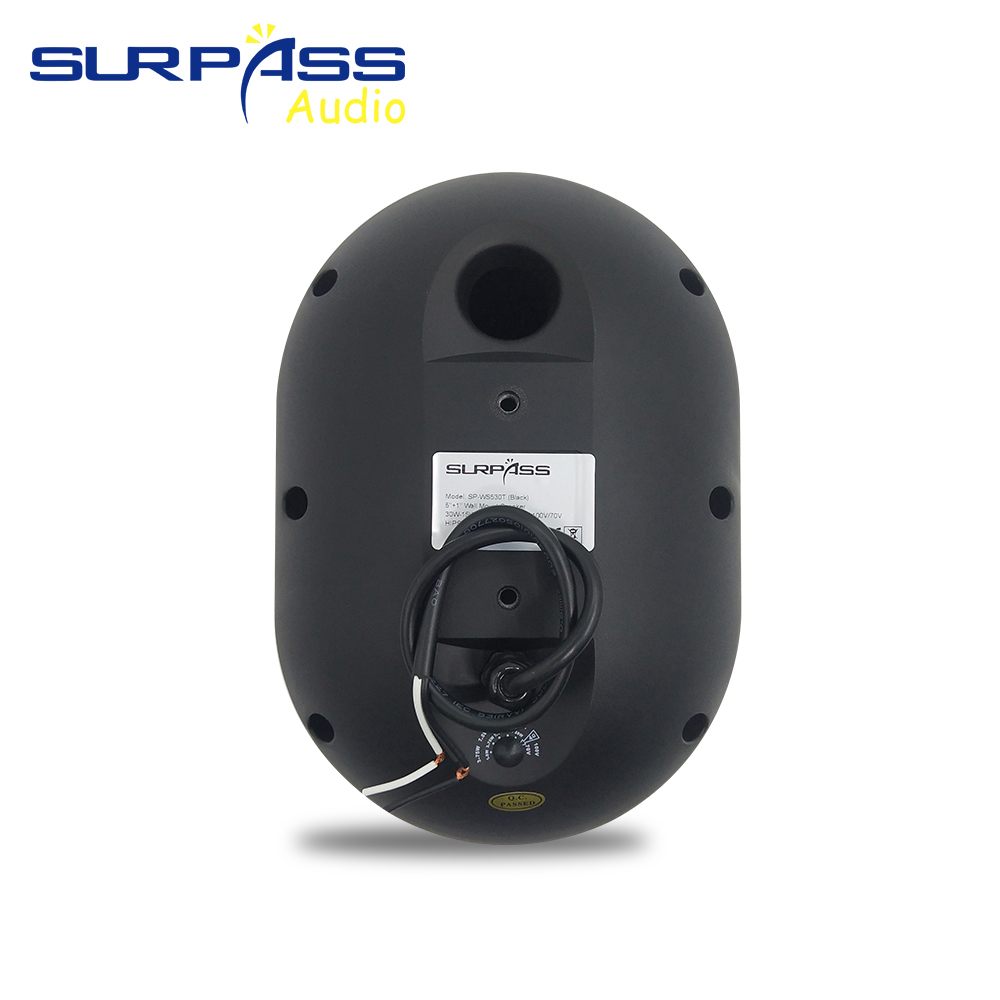 Alto-falante de parede 30w, à  - Audio Music Background avaliação e preço